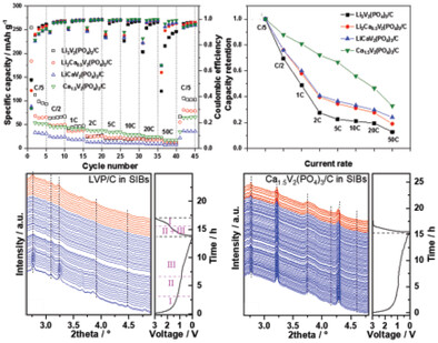 Electrochemical Investigation of Calcium Substituted Monoclinic Li3V2(PO4)3 Negative Electrode Materials for Sodium- and Potassium-Ion Batteries