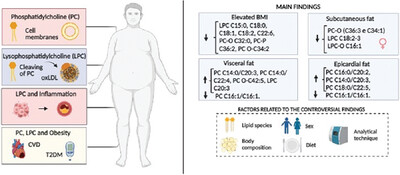 Are Phosphatidylcholine and Lysophosphatidylcholine Body Levels Potentially Reliable Biomarkers in Obesity? A Review of Human Studies