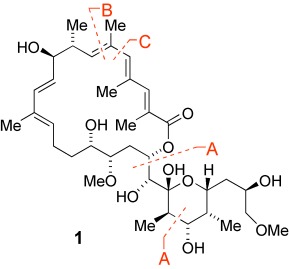 Total Synthesis of Apoptolidinone
