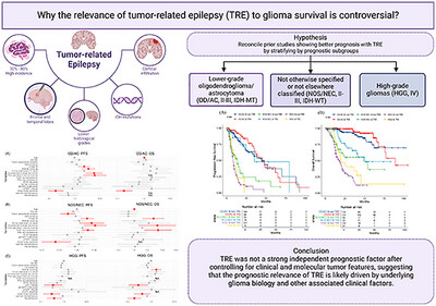 Risk Factors and Prognostic Implications of Tumor-Related Epilepsy in Diffuse Glioma Patients: A Real-World Multicenter Study