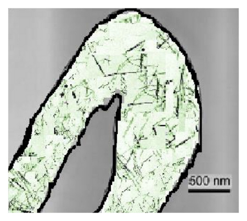 Details are in the caption following the image