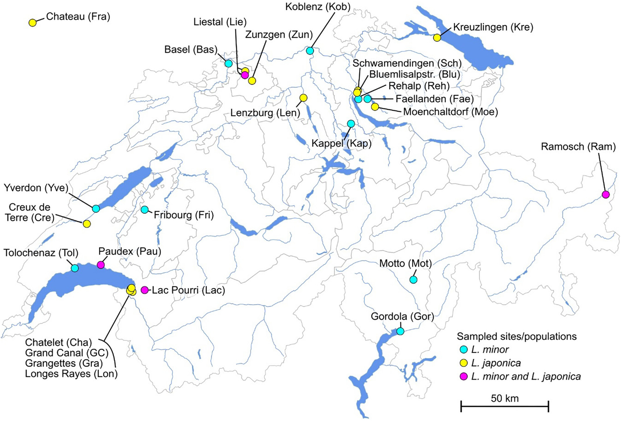 Covering the bases: Population genomic structure of Lemna minor and the cryptic species L. japonica in Switzerland