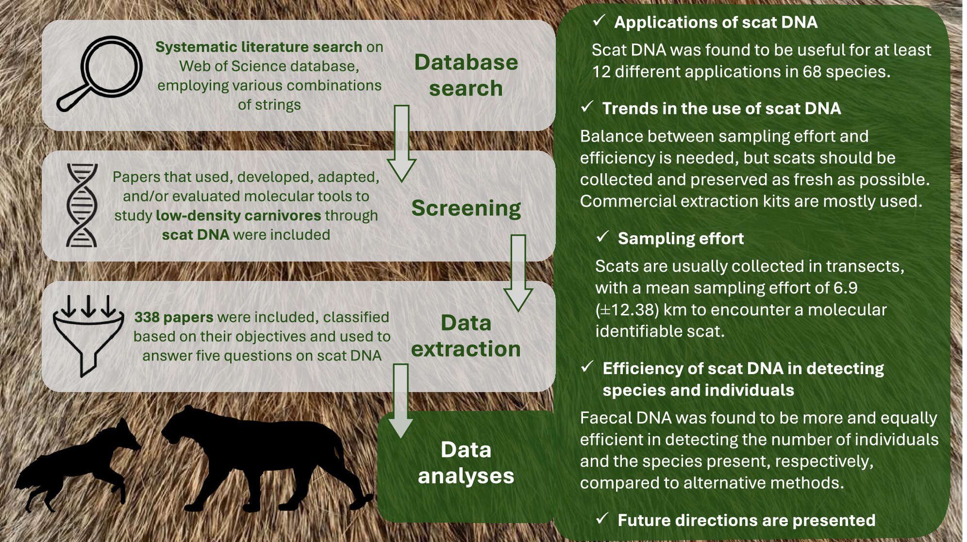 Scat DNA Applications for Low-Density Carnivore Survey: Techniques, Efficiency and Future Directions Issue ,