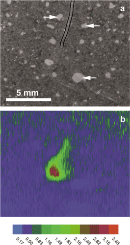 Details are in the caption following the image Details are in the caption following the image