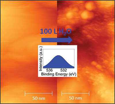 Zero Threshold for Water Adsorption on MAPbBr3
