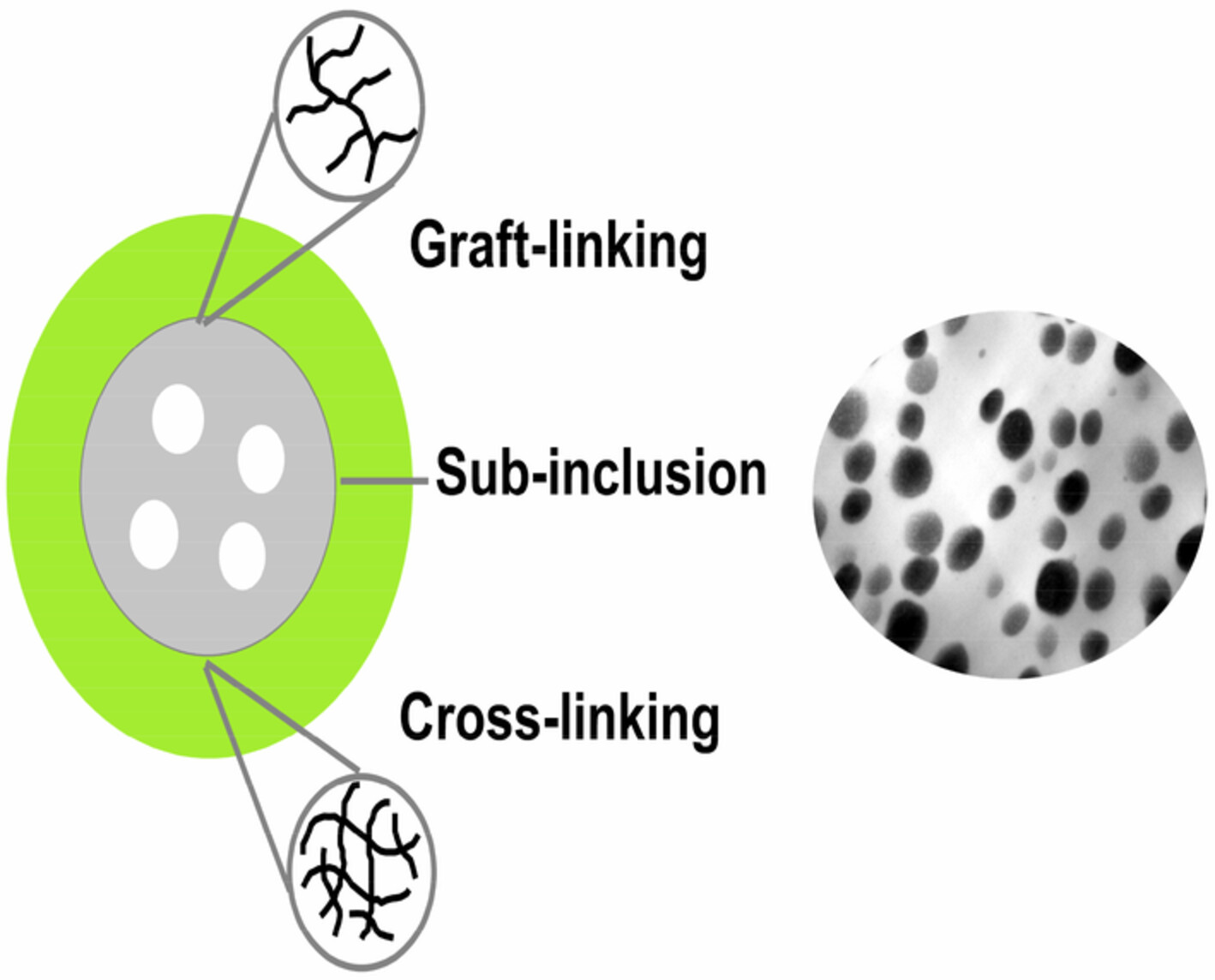 Influence of the structure of sub-micrometer core-shell rubber particles and matrix composition on the mechanical properties, morphological structure and deformation mechanism of rubber-modified polyphenylene oxide/polystyrene blends