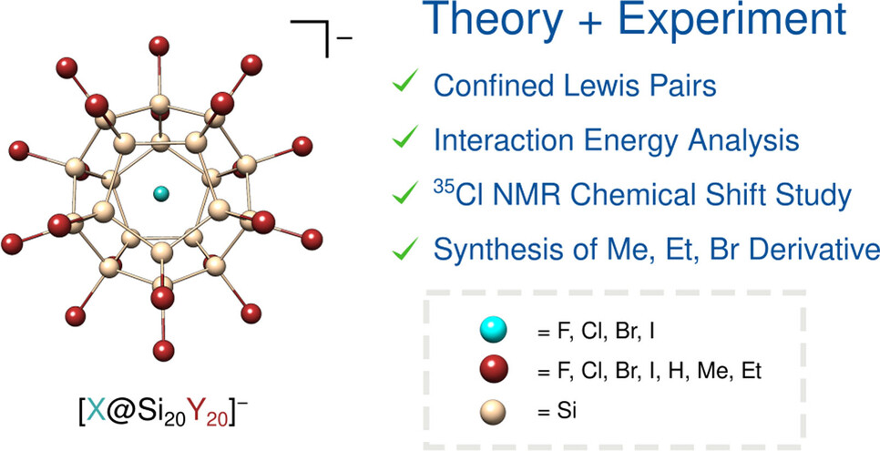 Confined Lewis Pairs: Investigation of the X−→Si20 Interaction in Halogen-Encapsulating Silafulleranes