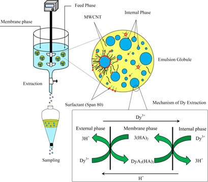 Response Surface Optimization of Dysprosium Extraction Using an Emulsion Liquid Membrane Integrated with Multi-Walled Carbon Nanotubes