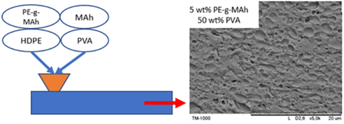 Effects of compositional parameters on morphology and rheological properties of HDPE/PVA blends