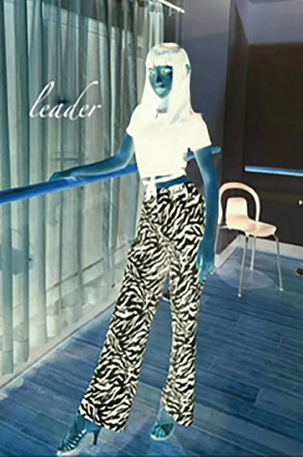 Details are in the caption following the image