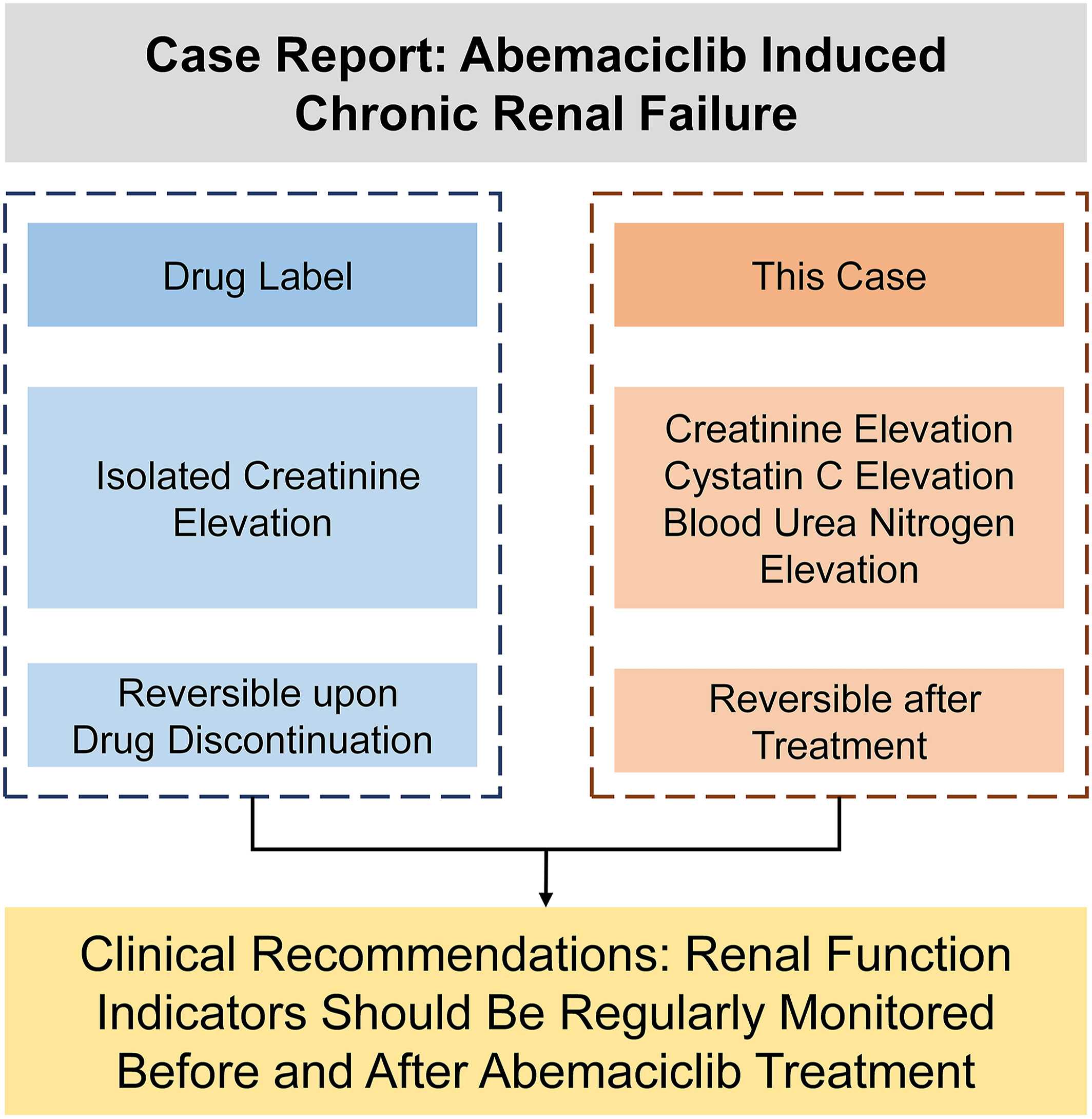 Case Report: Abemaciclib-Induced Chronic Renal Failure Issue 2, 2025