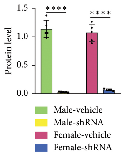 Details are in the caption following the image