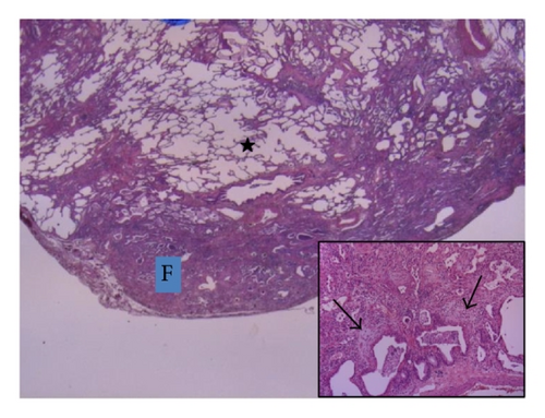 Details are in the caption following the image