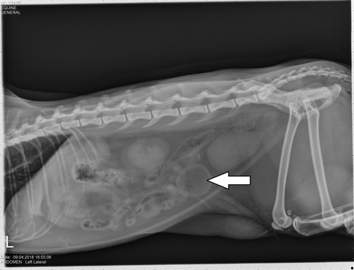 Details are in the caption following the image