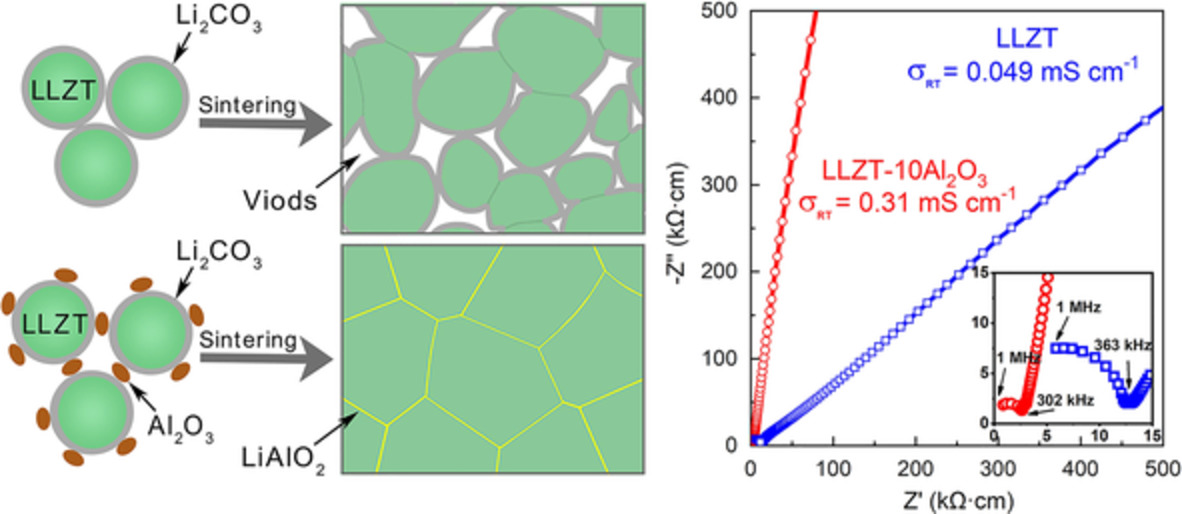 Unveiling the roles of alumina as a sintering aid in Li-Garnet solid electrolyte