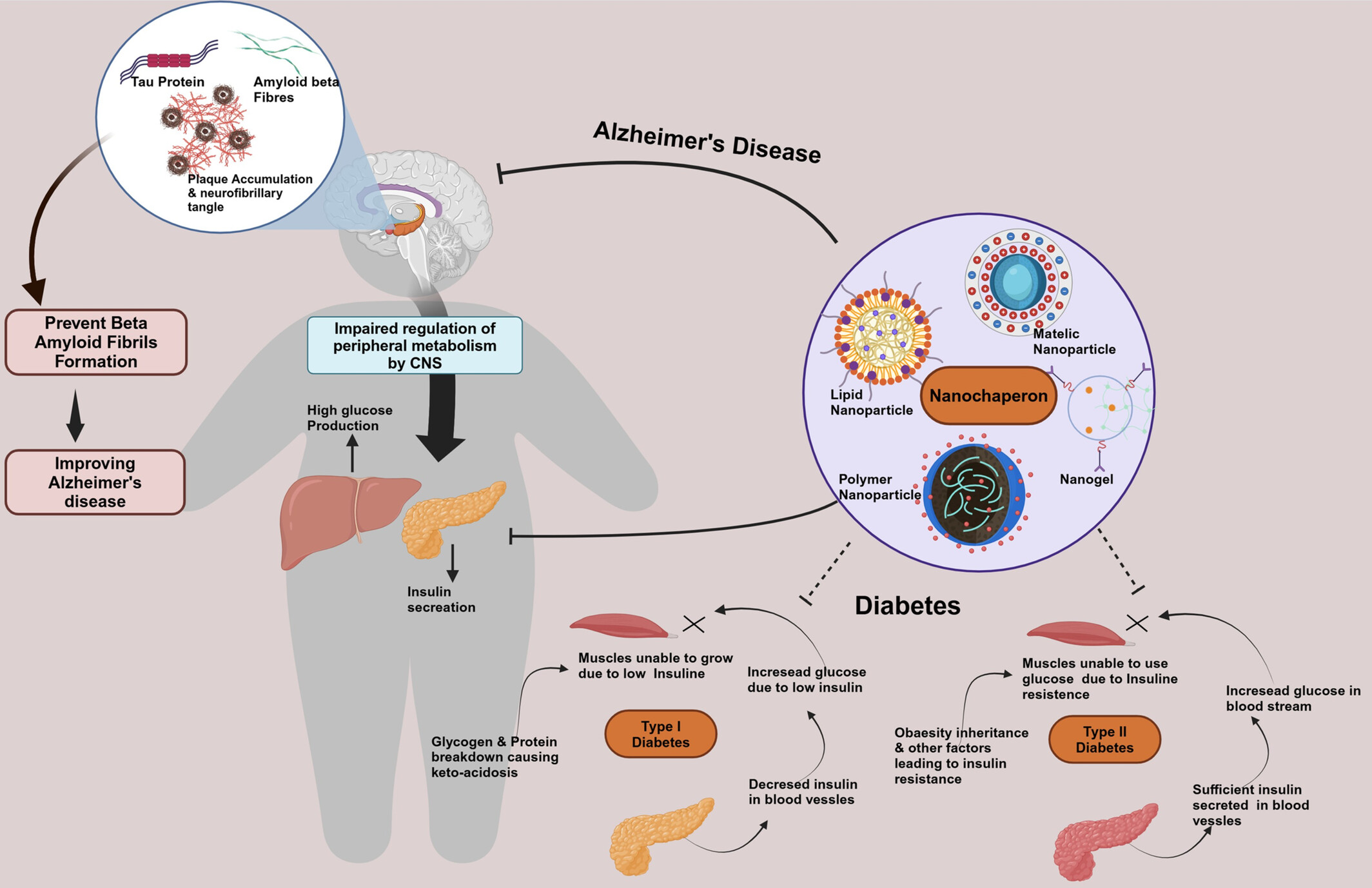 Nano-Chaperones: Bridging Therapeutics for Amyloid Aggregation in Alzheimer's Disease and Type-2 Diabetes Mellitus