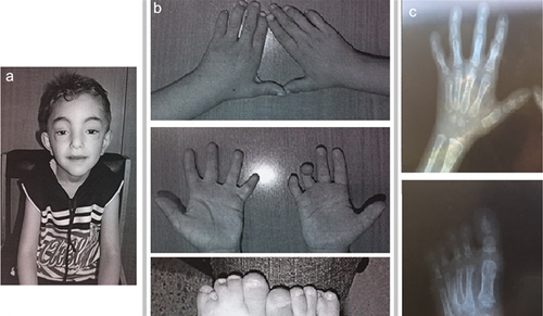 Details are in the caption following the image Details are in the caption following the image