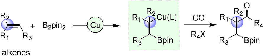 Copper-Catalyzed Regioselective Borocarbonylative Coupling of Unactivated Alkenes with Alkyl Halides: Synthesis of β-Boryl Ketones