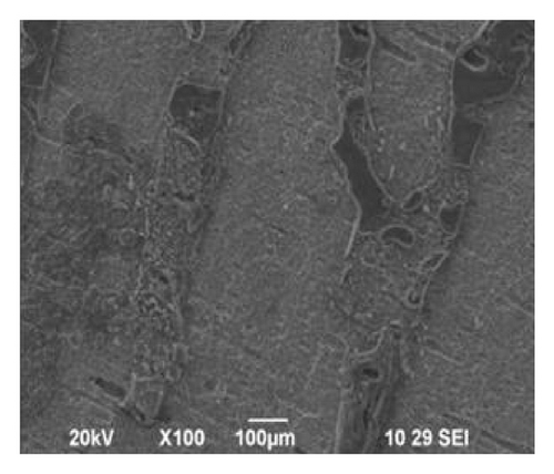 Details are in the caption following the image