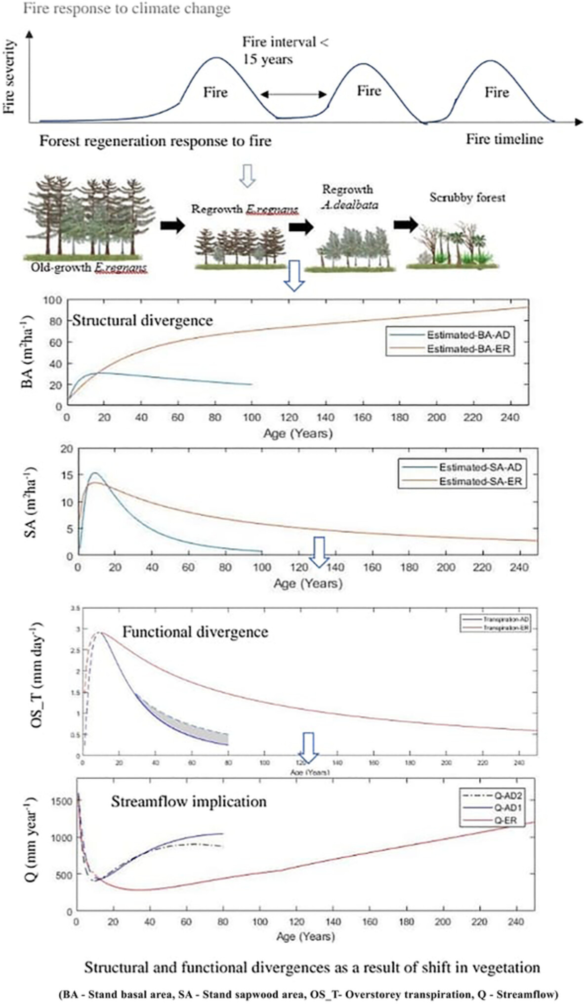 Increasing fire frequency may trigger eco-hydrologic divergence