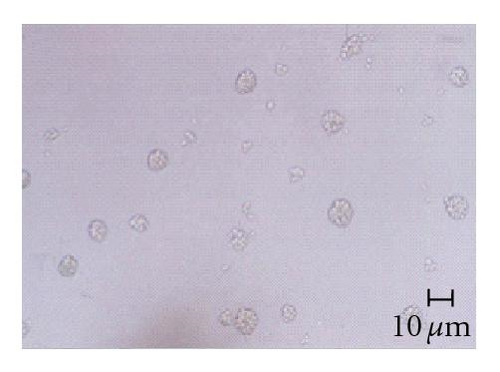 Details are in the caption following the image