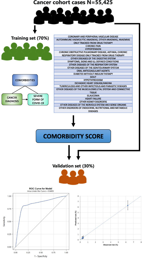 Developing a comorbidity score in cancer patients using healthcare utilization databases during the COVID-19 pandemic: An experience from Italy