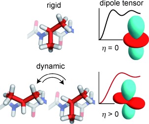 Solid-State NMR Measurements of Asymmetric Dipolar Couplings Provide Insight into Protein Side-Chain Motion