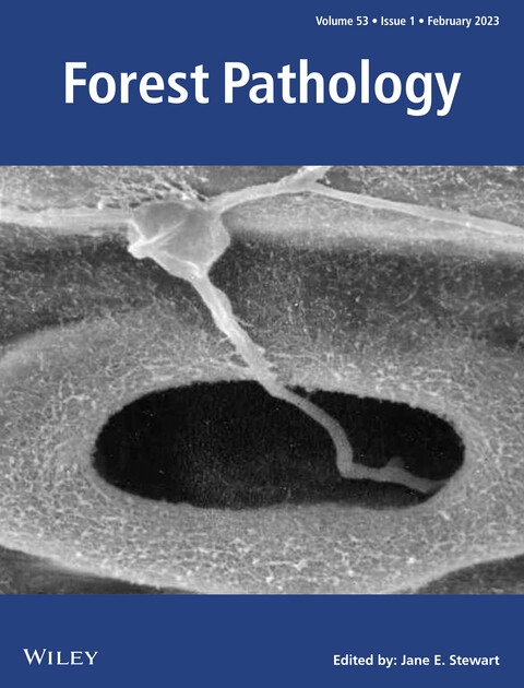 Cover Volume 53 Issue 1, 2023