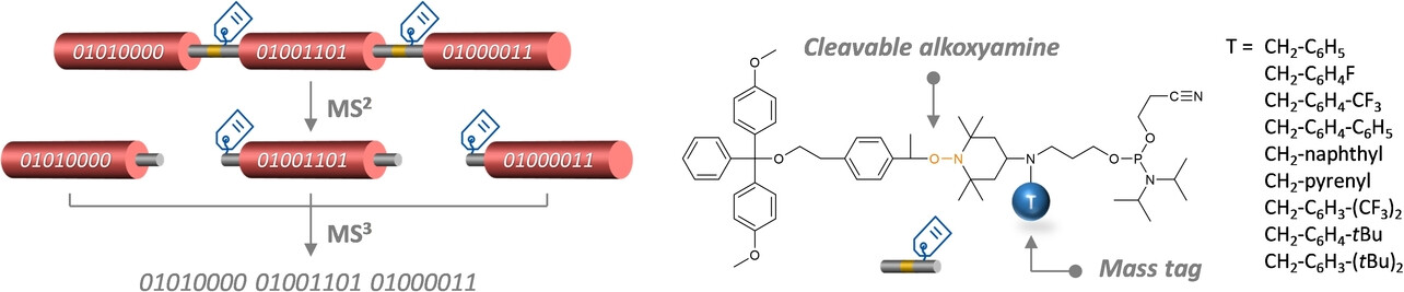 Conception and Evaluation of a Library of Cleavable Mass Tags for Digital Polymers Sequencing