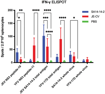 Investigation of immune response induction by Japanese encephalitis live-attenuated and chimeric vaccines in mice