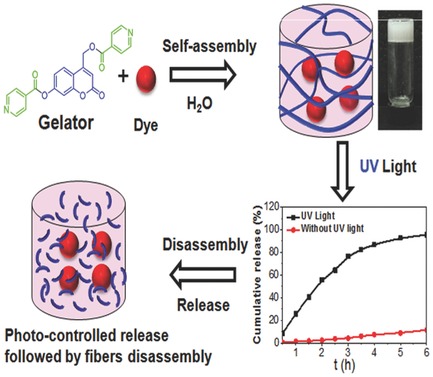 Photoresponsive Coumarin-Based Supramolecular Hydrogel for Controllable Dye Release