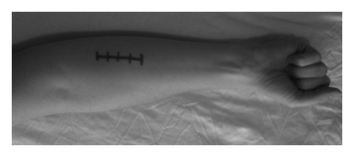 Details are in the caption following the image