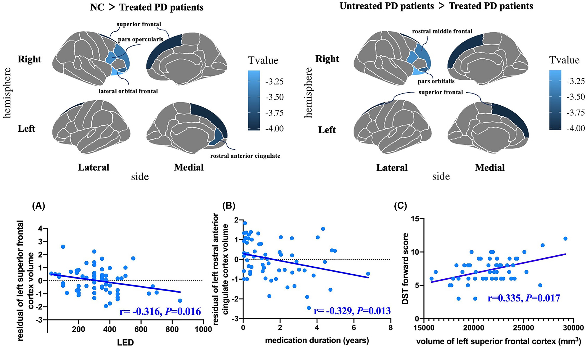 The effect of dopamine replacement therapy on cortical structure in Parkinson's disease