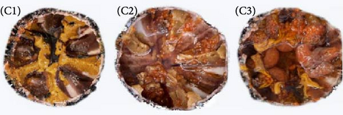 Details are in the caption following the image Details are in the caption following the image