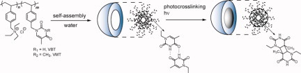 Bioinspired core-crosslinked micelles from thymine-functionalized amphiphilic block copolymers: Hydrogen bonding and photo-crosslinking study