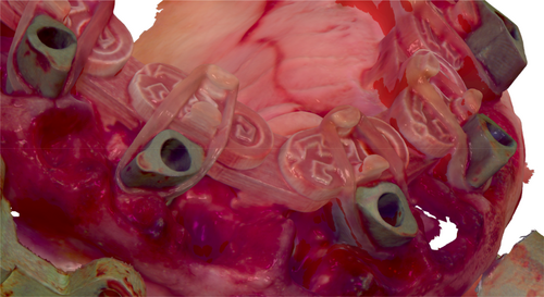 Details are in the caption following the image Details are in the caption following the image