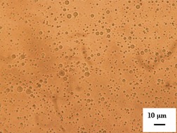 Improving Physical Absorption of Carbon Dioxide by Ionic Liquid Dispersion