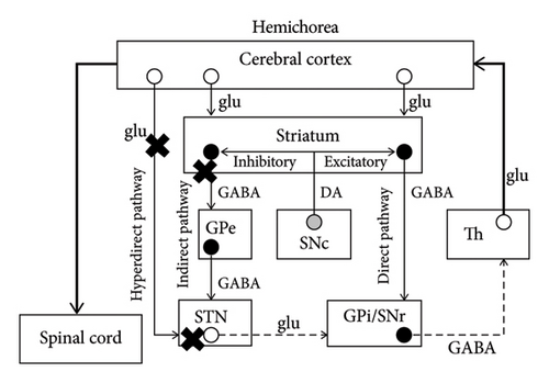 Details are in the caption following the image Details are in the caption following the image