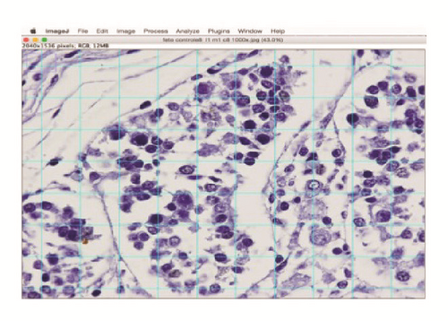 Details are in the caption following the image Details are in the caption following the image
