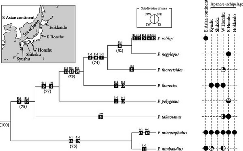 Details are in the caption following the image