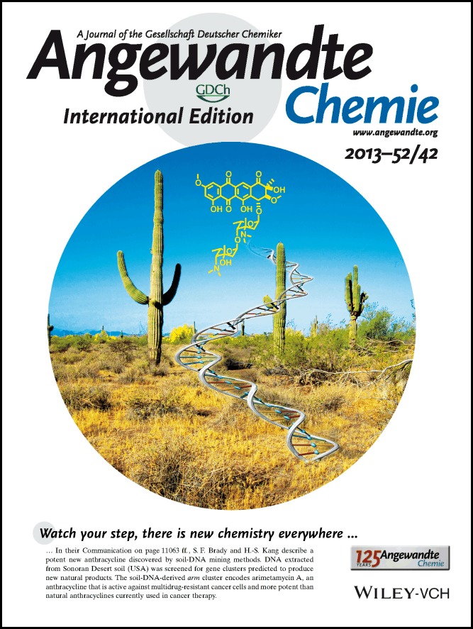 Back Cover: Arimetamycin A: Improving Clinically Relevant Families of Natural Products through Sequence-Guided Screening of Soil Metagenomes (Angew. Chem. Int. Ed. 42/2013)