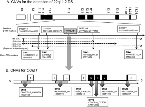 Details are in the caption following the image Details are in the caption following the image