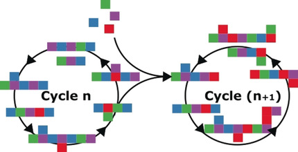 Emergence of Function and Selection from Recursively Programmed Polymerisation Reactions in Mineral Environments