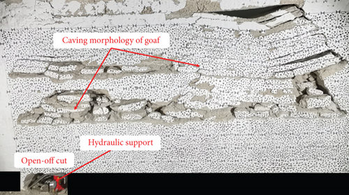 Details are in the caption following the image Details are in the caption following the image