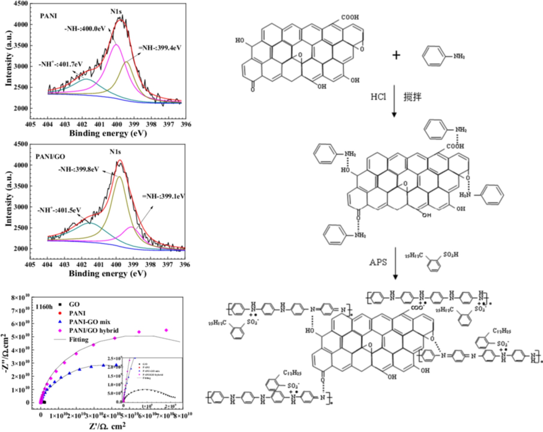 Effect of DBSA-doped PANI on the corrosion protection performance of GO/epoxy coatings