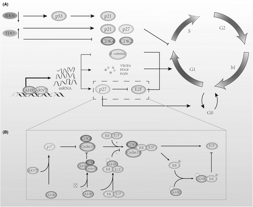 Details are in the caption following the image Details are in the caption following the image