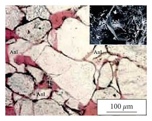 Details are in the caption following the image