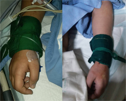 Details are in the caption following the image Details are in the caption following the image
