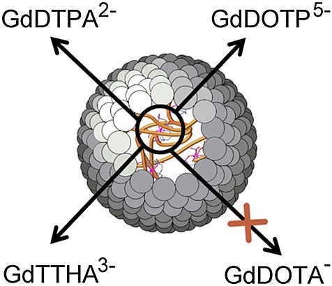 Nano assembly and encapsulation; a versatile platform for slowing the rotation of polyanionic Gd3+-based MRI contrast agents