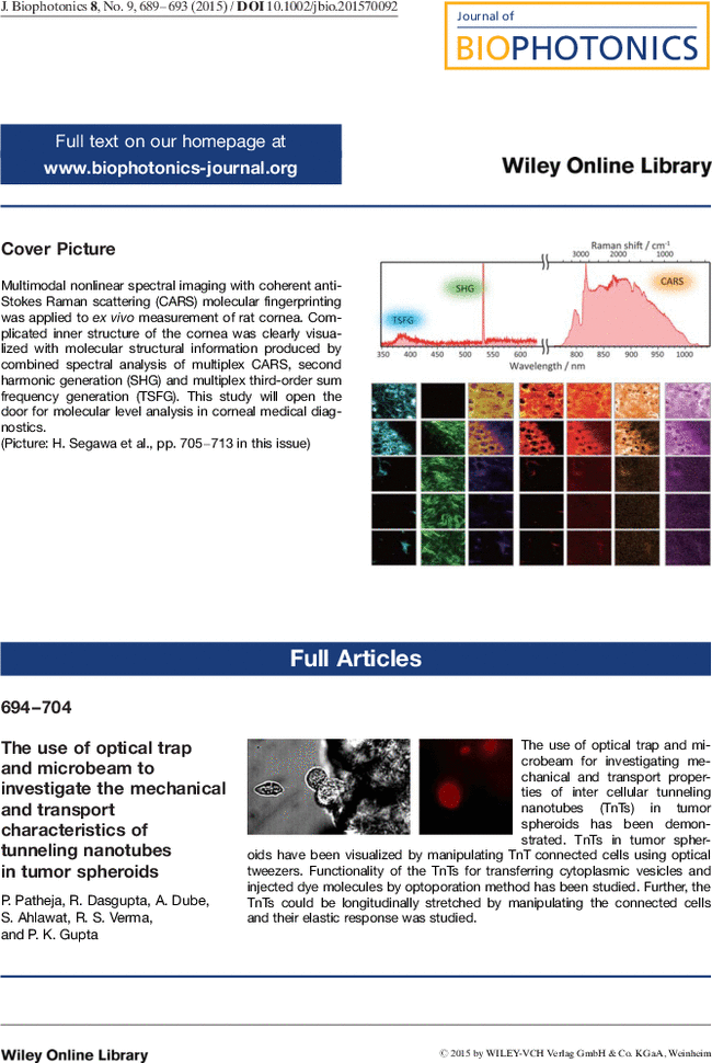 First page image
